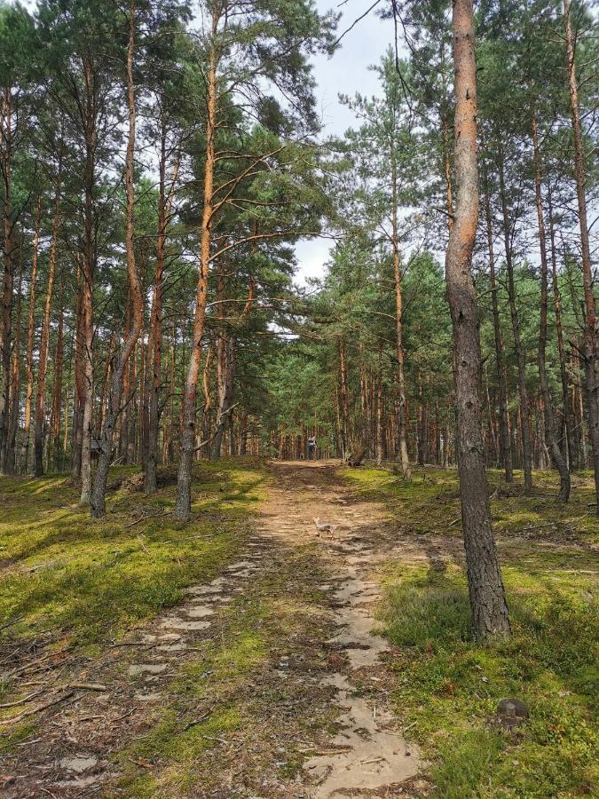 Leśniczówka Rzadza Exterior foto