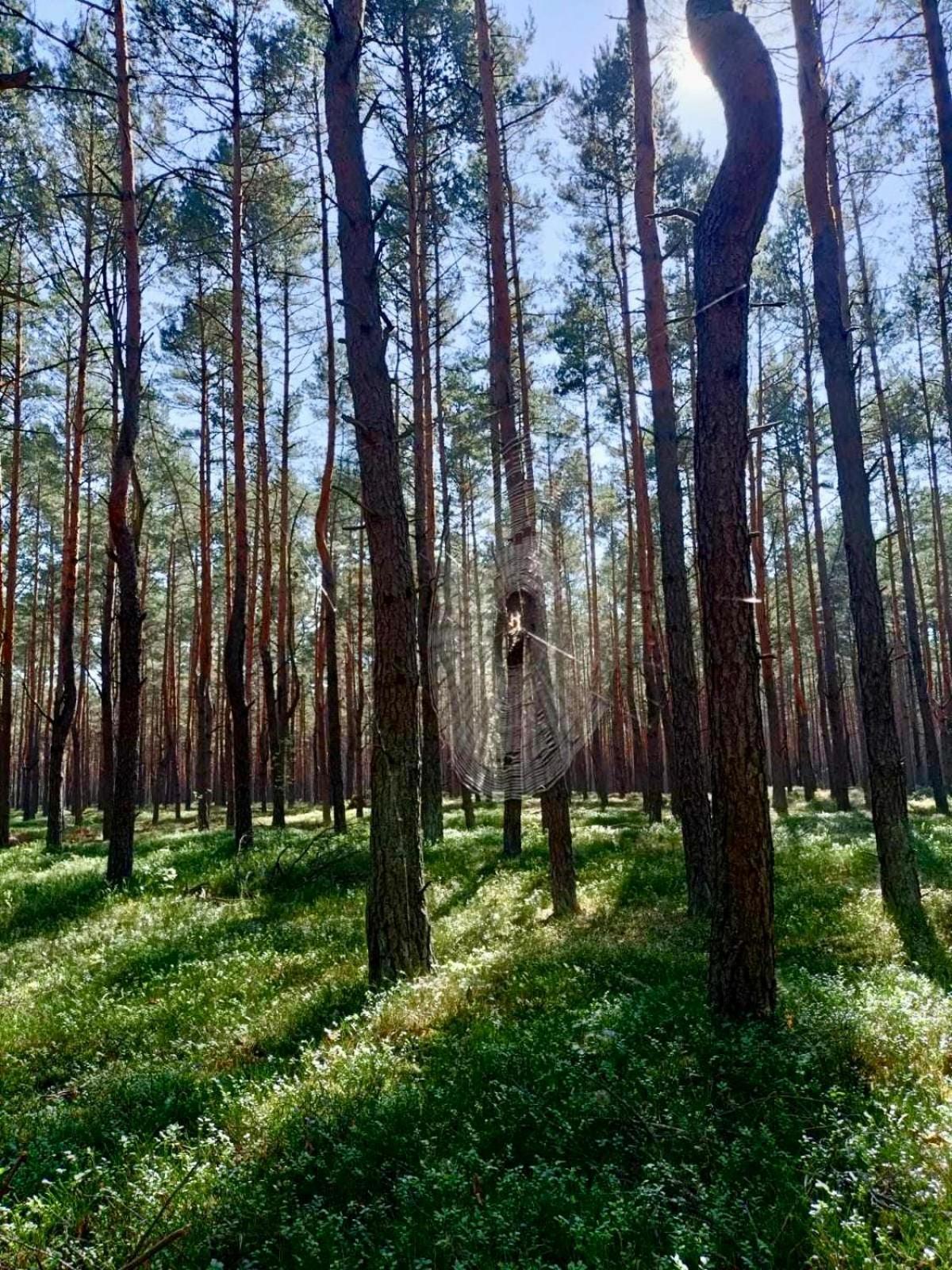 Leśniczówka Rzadza Exterior foto