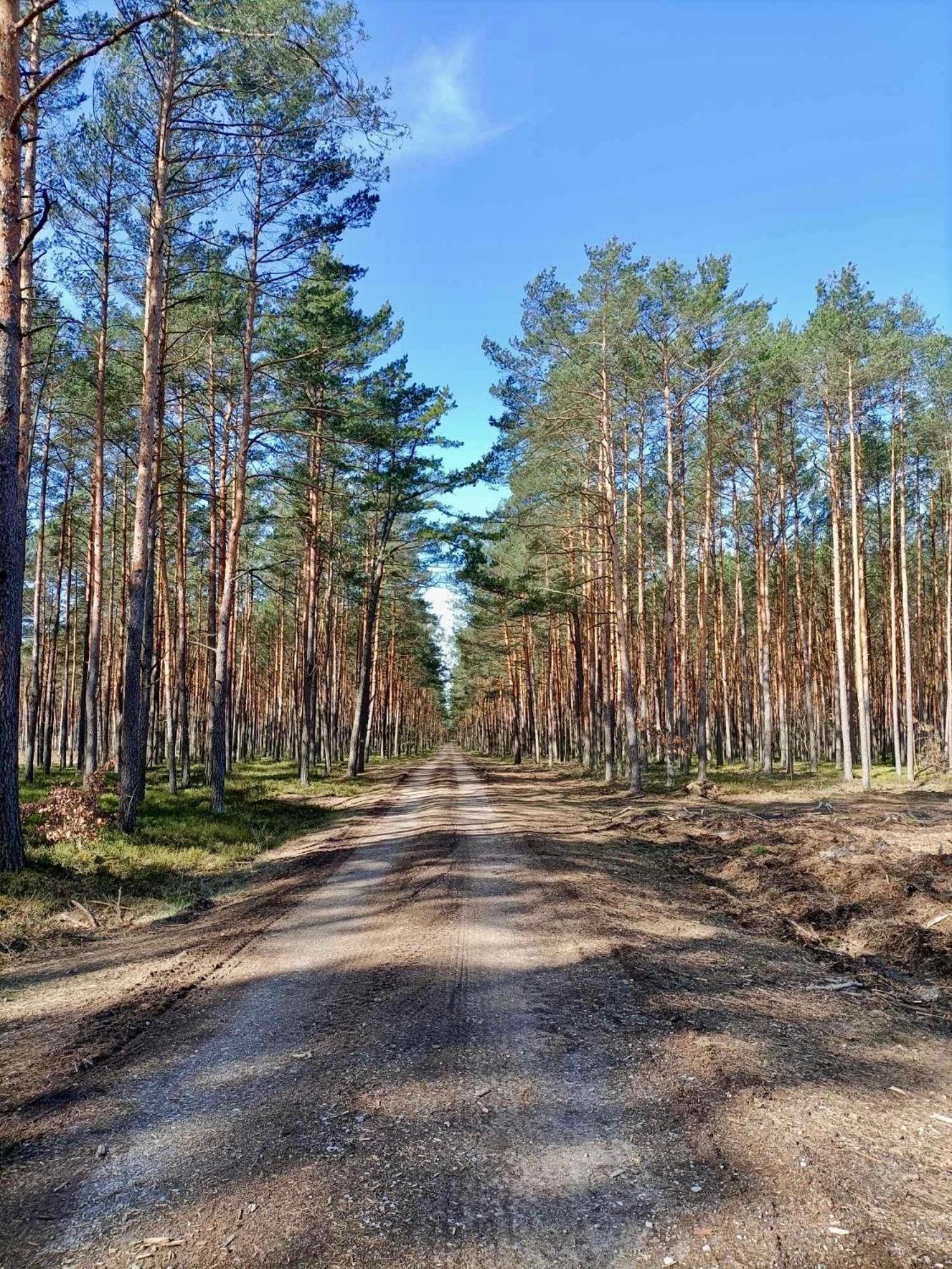 Leśniczówka Rzadza Exterior foto