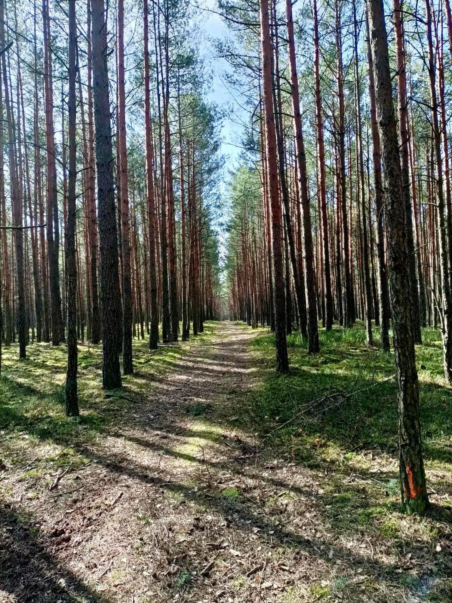 Leśniczówka Rzadza Exterior foto